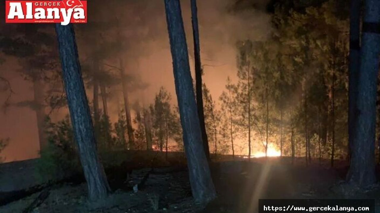 Alanya Mahmutseydi'de orman yangını