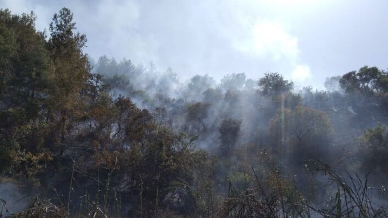Alanya'da ormanlık alanda çıkan yangın söndürüldü