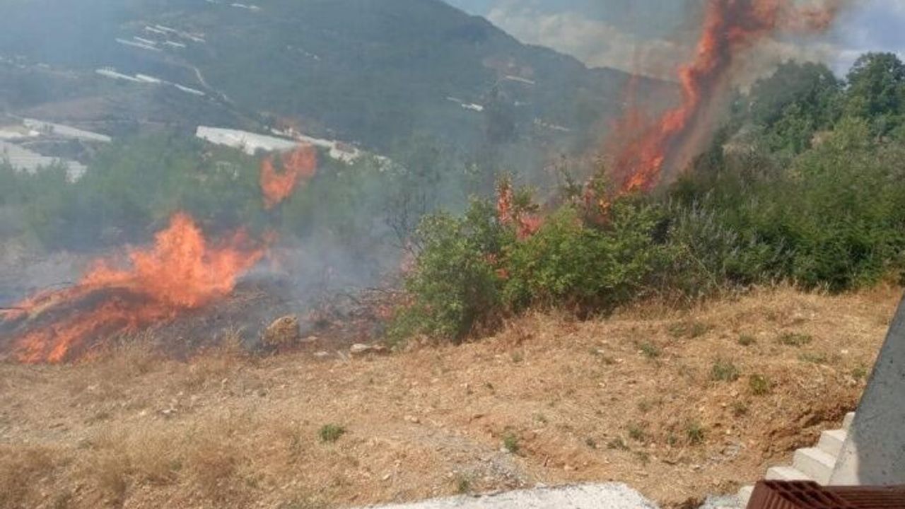 Alanya’da yangın çıktı: 10 dönüm tarla kül oldu
