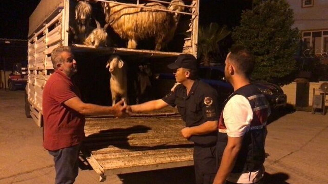 Para kazanma vaadiyle elindeki hayvanlarından da olacaktı