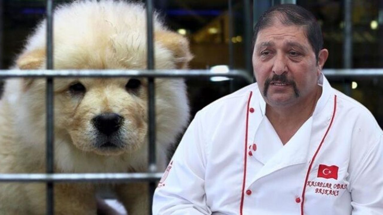 Veterinerlerden petshop ve kasaplar odası açıklaması