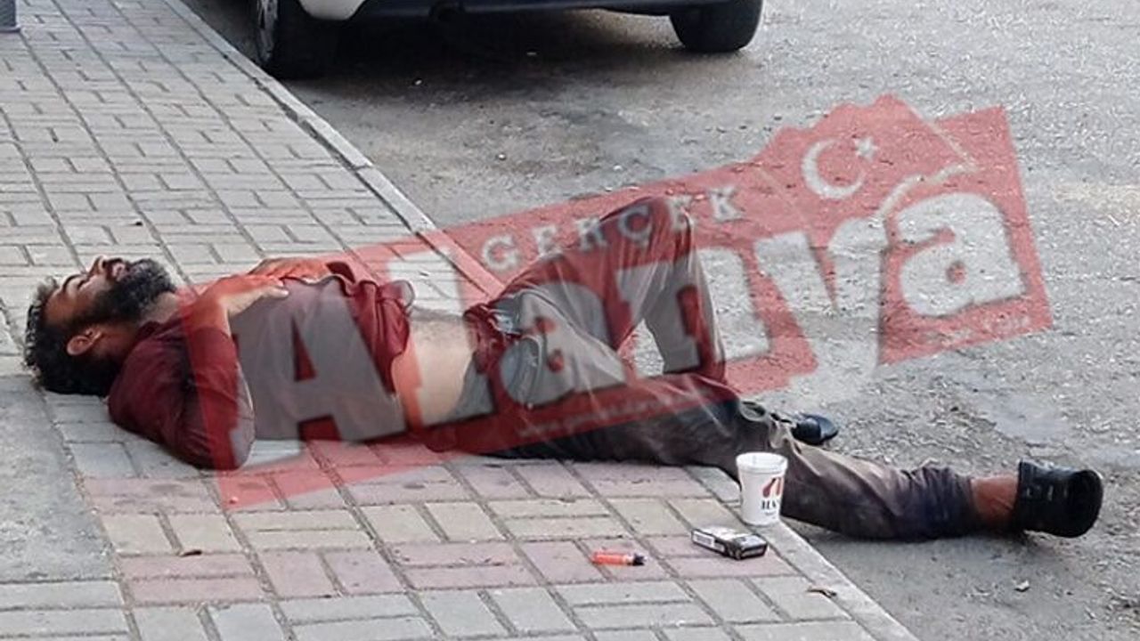 Alanya'da kaldırımı kendine mesken belledi! | VİDEO HABER