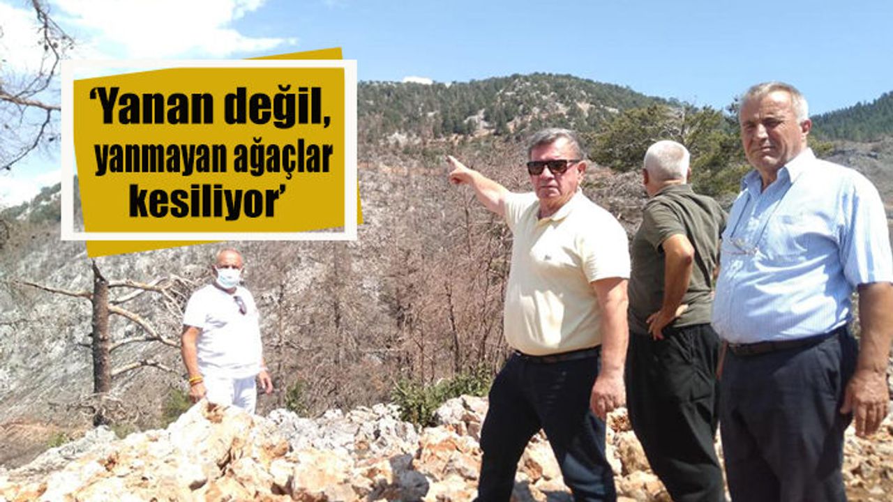 Karadağ, ‘Halk çok öfkeli’ diyerek tepki gösterdi |VİDEO HABER