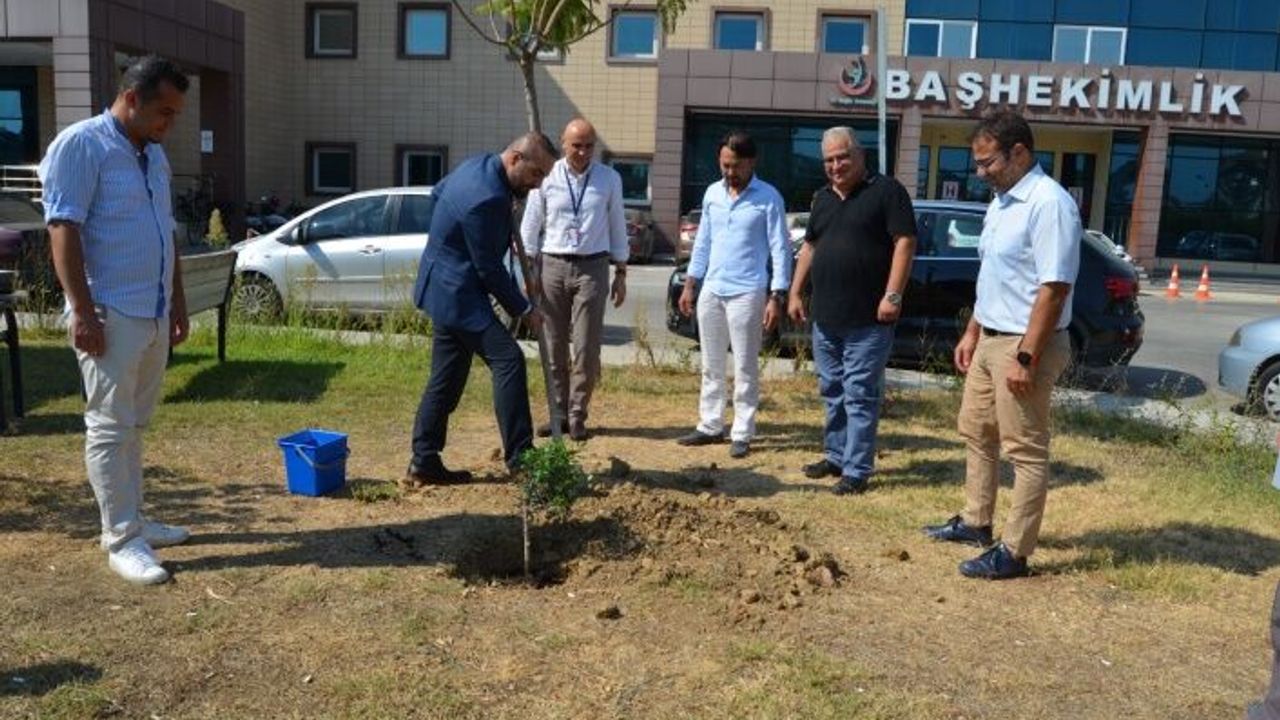 Sağlığına kavuşan hastalar adına zeytin ağacı diktiler 