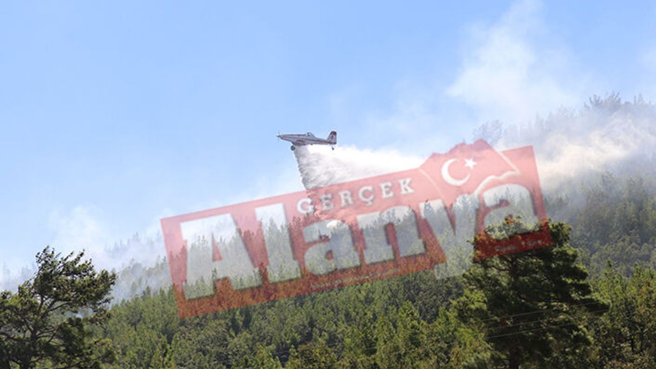 Alanya'da çıkan orman yangını kontrol altına alındı |VİDEO HABER