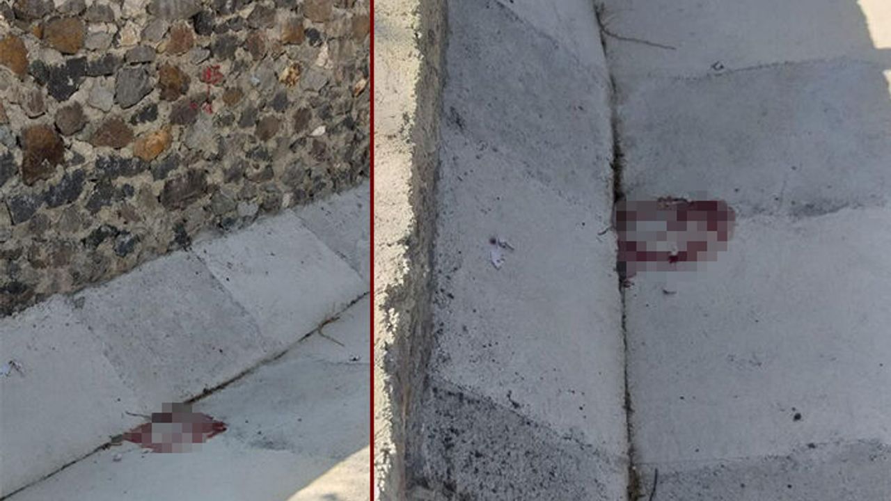 Alanya'ya gelmekte olan Rus turist su kanalına düştü