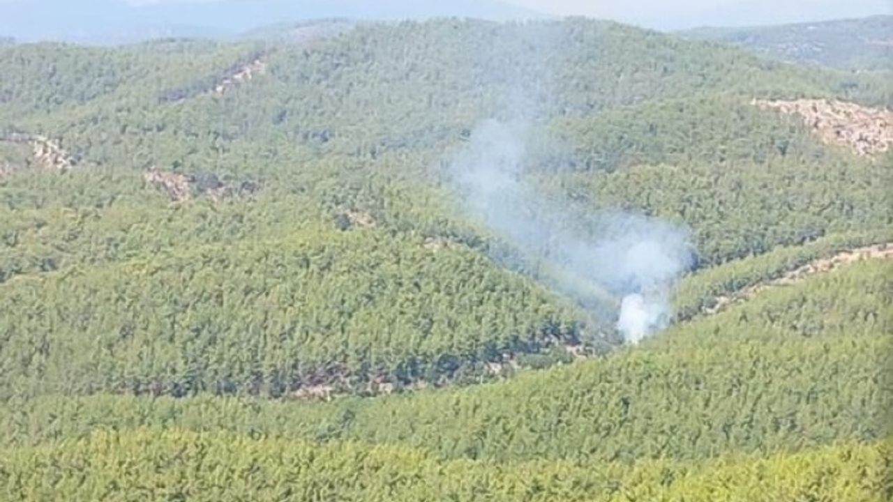 Alanya’da orman yangınında 2 dönüm alan zarar gördü