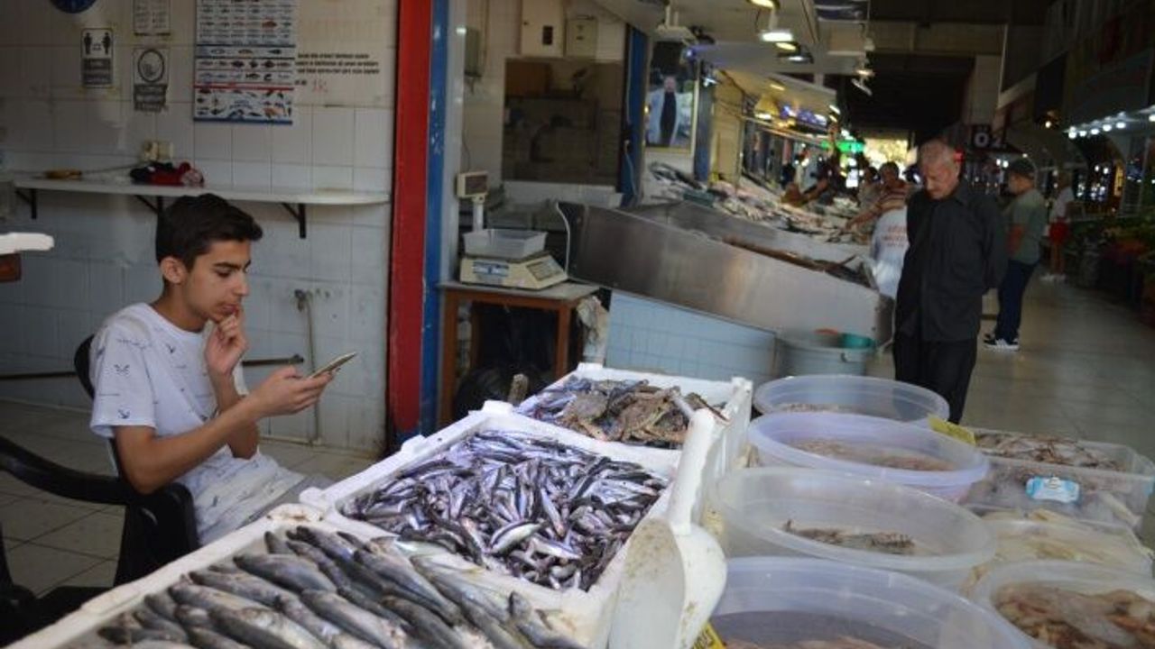 Alanya'da hamsi yemek hayal oldu