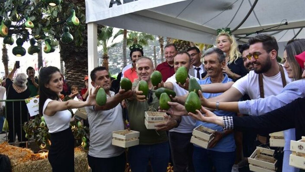 Alanya’nın ‘En Güzel Avokado Bahçesi’ ve ‘En Ağır Avokadosu’ belli oldu