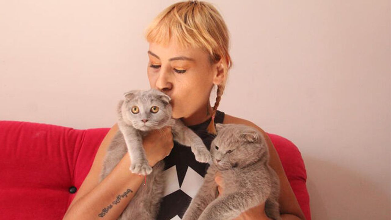 Dekolteli kedi hırsızlarına verilen ceza, ev sahibini şok etti