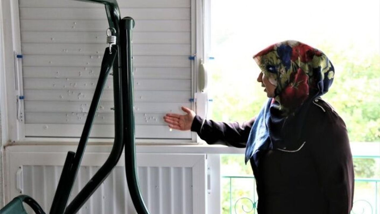 Balkonuna çıkan kadın, gördüğü manzara karşısında dehşete kapıldı