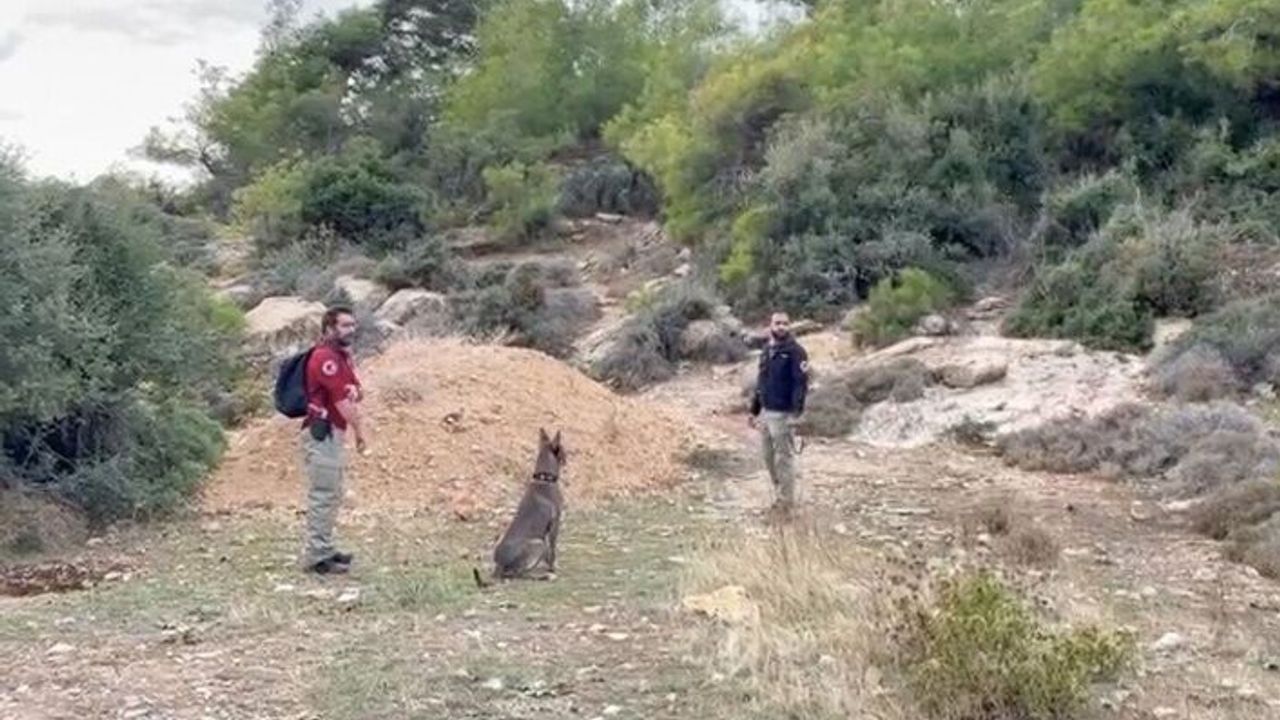 Kayıp Sedanur için özel eğitimli köpekler devrede
