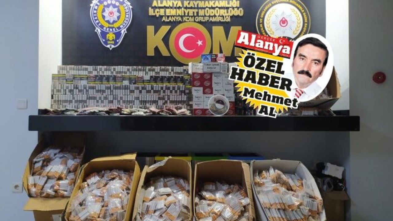 Alanya'da 51 bin 100 adet makaron yakalandı