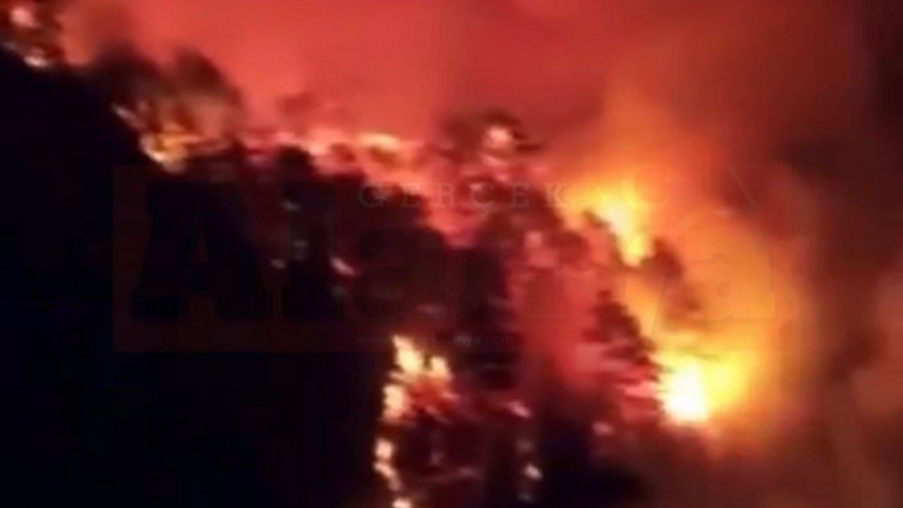 Alanya’da orman yangını çıktı | 3 ayrı noktada çıkan yangına müdahale edilemiyor | VİDEO HABER
