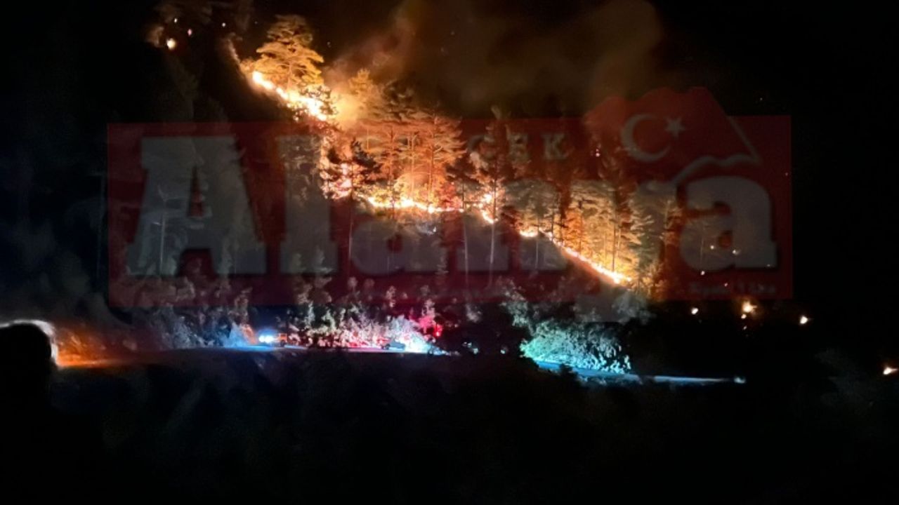 Alanya’daki orman yangını söndürme çalışması sürüyor | VİDEO HABER