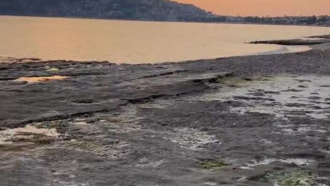 Alanya'da deniz çekildi | Depremle ilgisi var mı? |VİDEO HABER