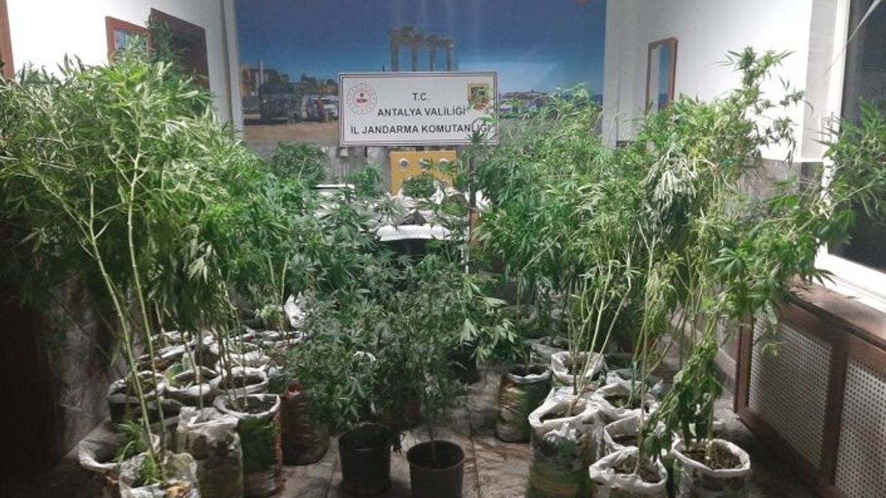 Jandarma ekipleri tarafından 27 kilogram esrar ele geçirildi
