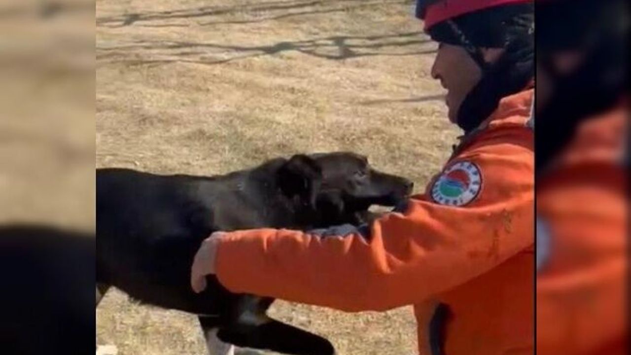 Kepez Belediyesi enkazdan kurtardığı köpeği sahiplendi