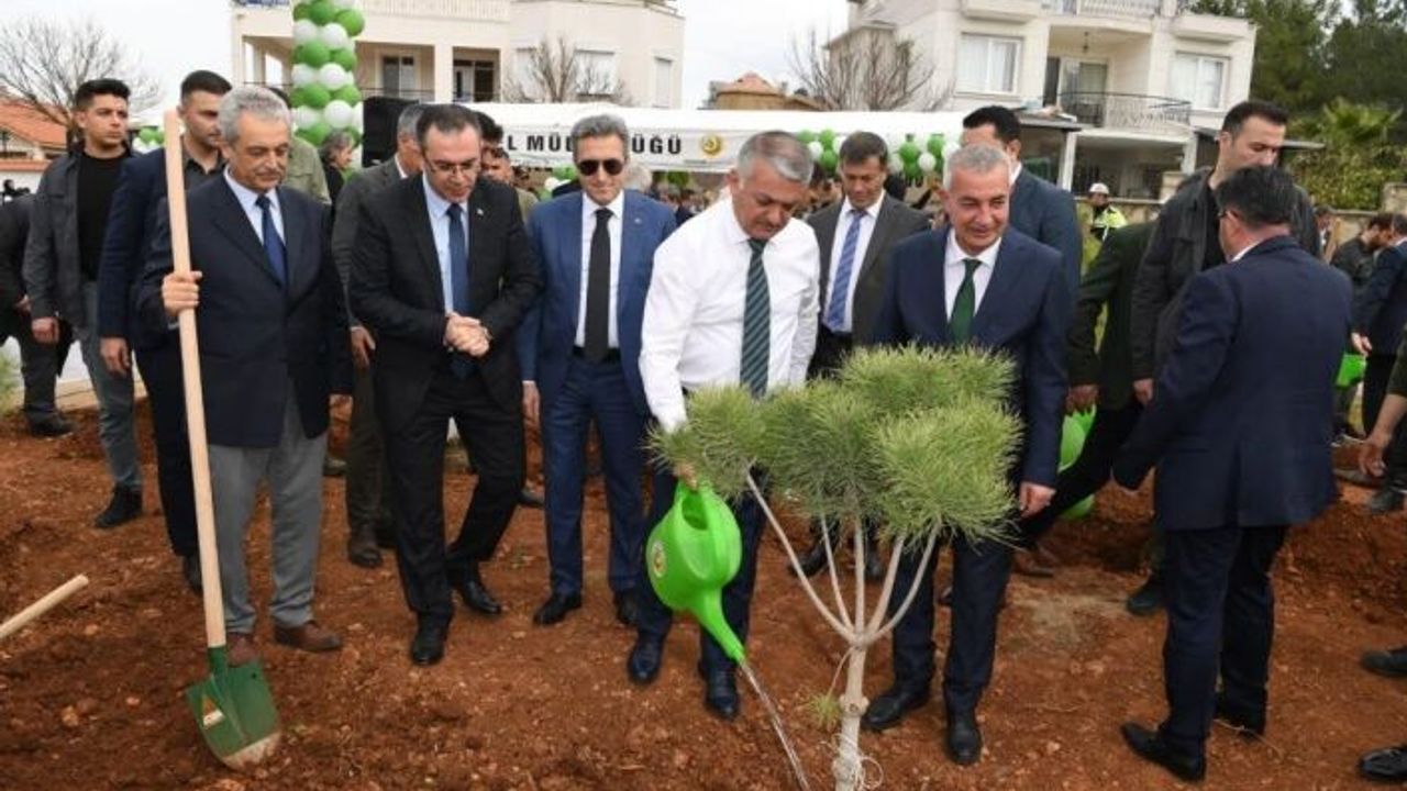 Deprem Şehitleri Ormanı'na Vali Yazıcı fidan dikti