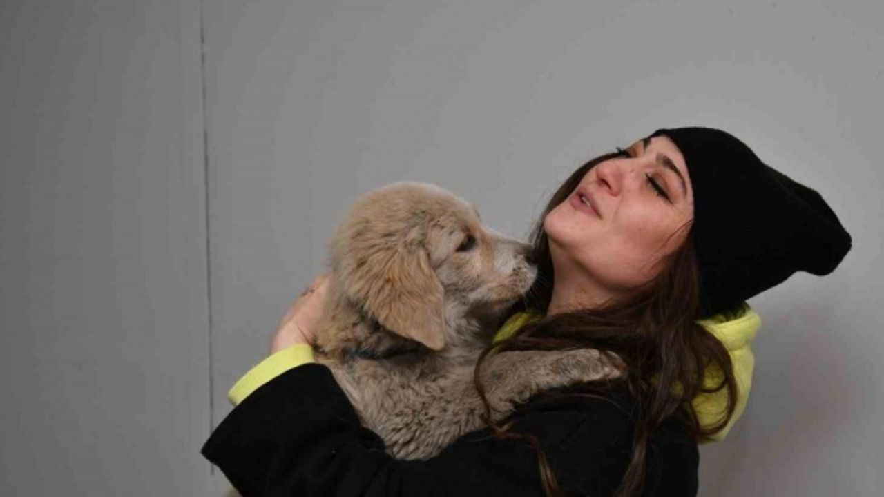 Enkaz altından kurtarılan köpek Trabzon’da sahiplendirildi