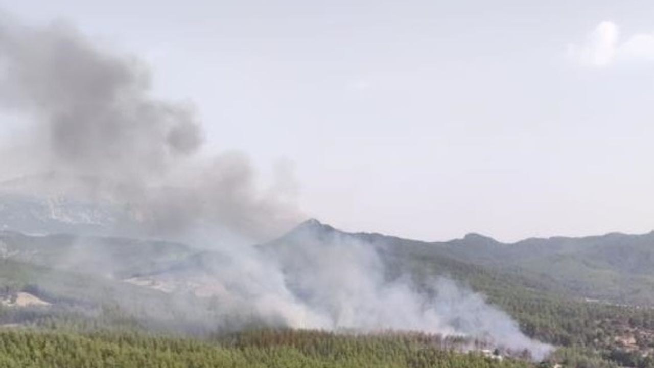 Manavgat’taki orman yangını kontrol altına alındı