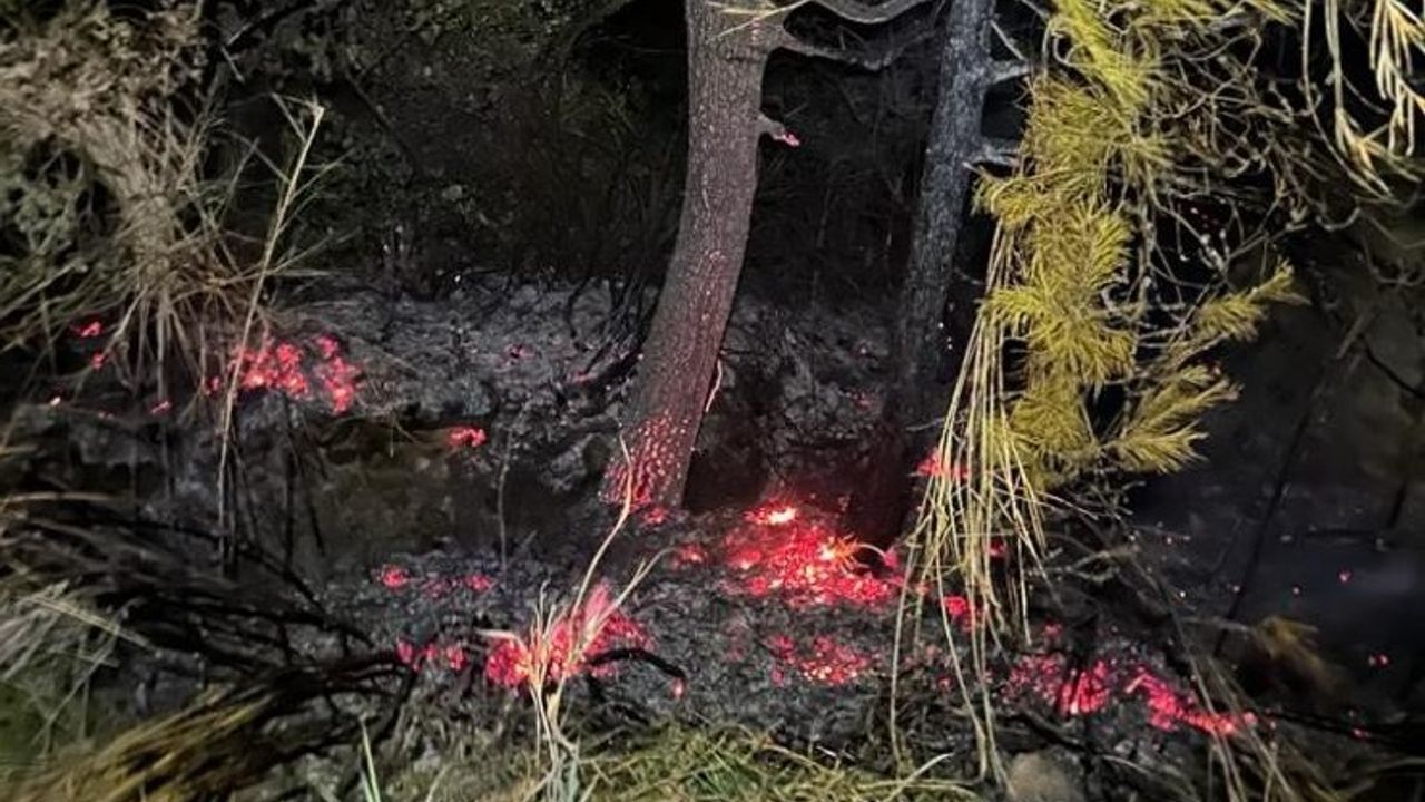 Alanya'nın komşusunda orman yangını kısa sürede söndürüldü