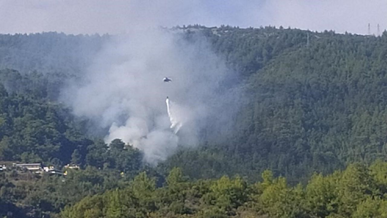 Alanya'da orman yangını başladı!