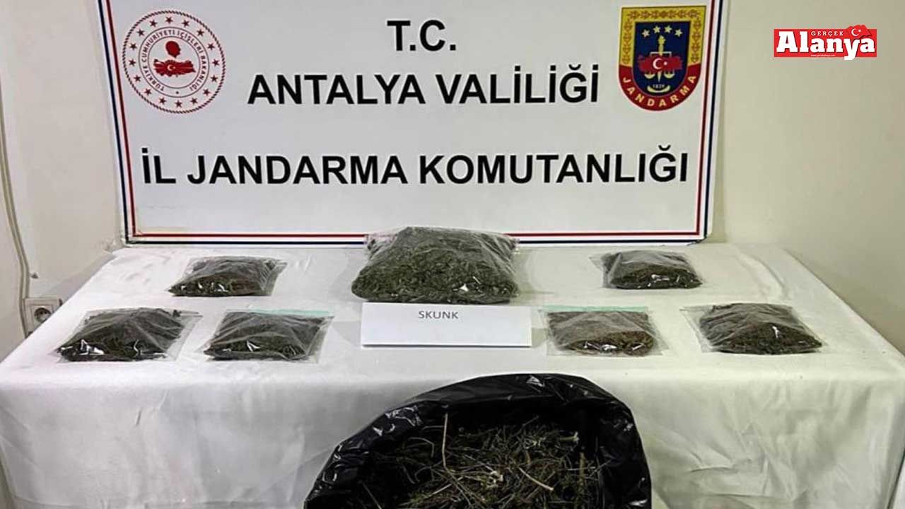 Alanya'da 800 gram uyuşturucu ele geçirildi