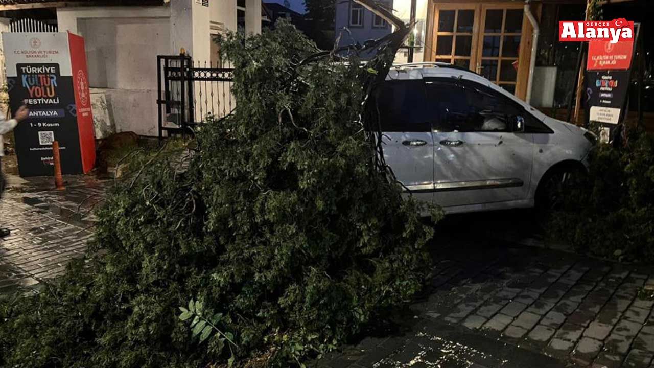 Fırtınanın devirdiği ağaç park halindeki aracın üzerine düştü