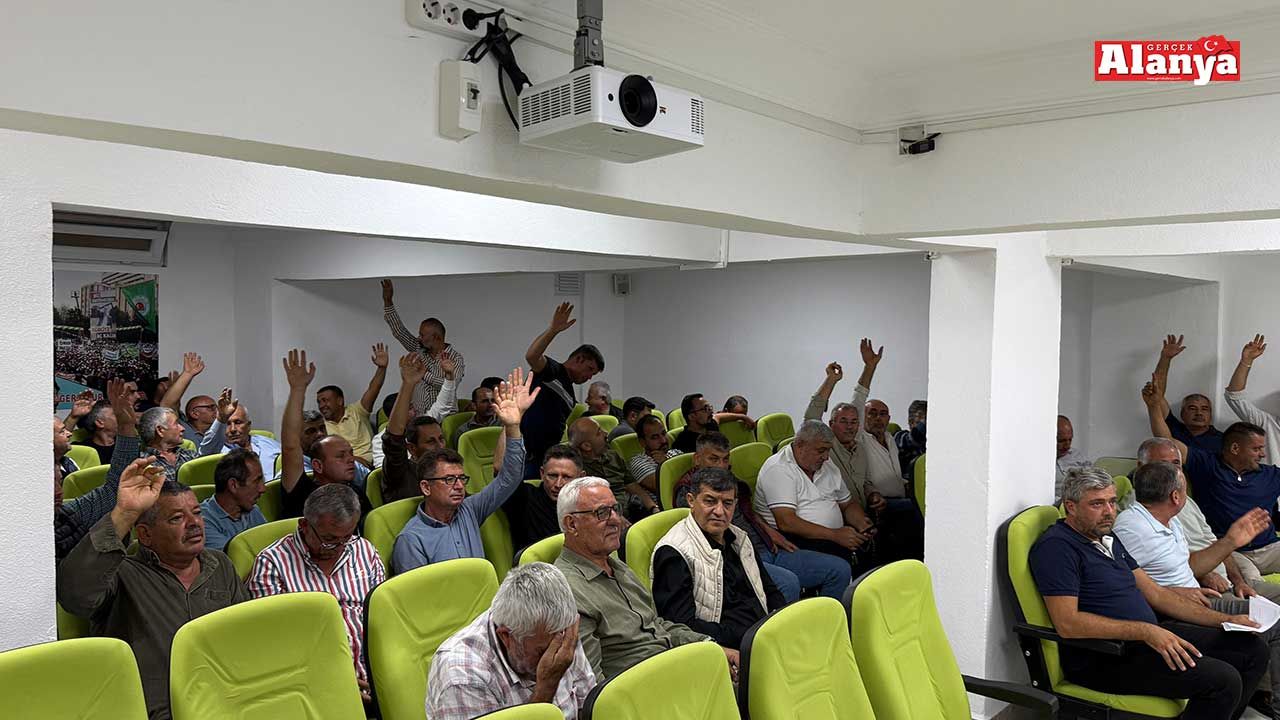 Alanya’da avokadonun nasıl satılacağına karar verildi