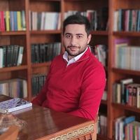 Dr. Mehmet ÖZTÜRK
