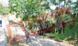 Alanya'da kayıp emlakçı keserle öldürülmüş