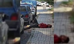 Alanya'da sokakta yatan şahsı görenler şok yaşadı
