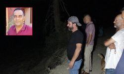 Tedaviyi kabul etmedi, koyunların başında ölü bulundu