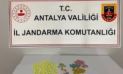 Alanya'da 163 adet uyuşturucu hap ele geçirildi