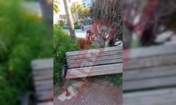 Alanya’da dikilen çiçekleri söküp çaldılar