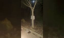Alanya’da kendini ağaca asarak yaşamına son verdi