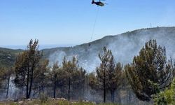 Alanya’da orman yangını çıktı I YANGIN ANLARI VİDEODA