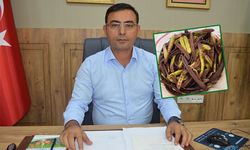 Alanya’daki keçiboynuzu üreticilerine uyarı