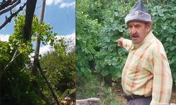 Gündoğmuş'ta eski direkler tehlike saçıyor