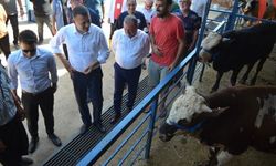 Kaymakam Ürkmezer’den vatandaşlara kurban uyarısı