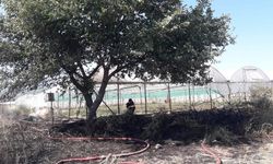 Makilik alanda çıkan yangın seralara zarar verdi