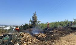 Ormanlık alanda çıkan yangın korkuttu