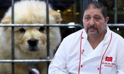 Veterinerlerden petshop ve kasaplar odası açıklaması