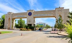 Araç kiralama hizmeti alınacak