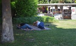 ‘Çimen otel’ sezonu kapanmıyor