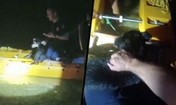 Irmakta mahsur kalan yavru köpek kano ile kurtarıldı