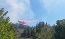 Korkutan yangın kontrol altına alındı