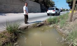 Muhtar Boz’dan çifte isyan