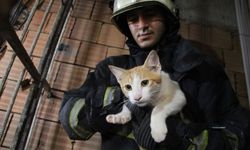 Önce kurtarıldı, sonra kapı kapı sahibi arandı